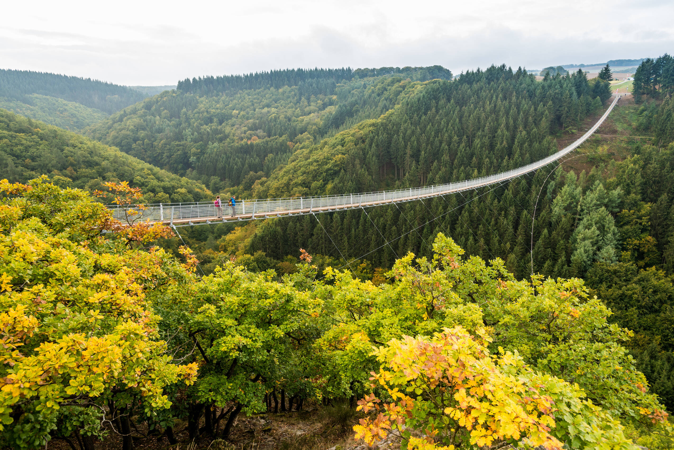Hunsrück Hängeseilbrücke Geierlay ®Fotograf Dominik Ketz für Hunsrück Touristik (3)